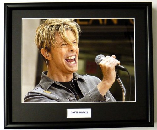 DAVID BOWE/FRAMED PHOTO (12)