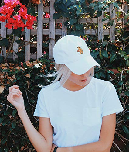 Image of Riot Society Mens Embroidered Adjustable Dad Hat
