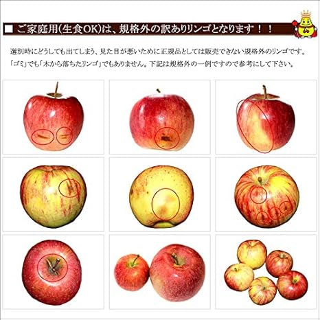 Amazon 山形県産 ご家庭用 つがる 10kg 竹城青果 りんご 通販 Amazon 山形県産 ご家庭用 つがる 10kg 竹城青果 りんご 通販