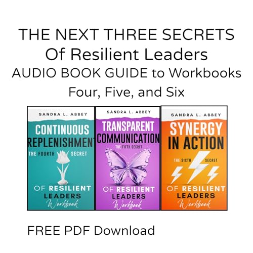 『The Next Three Secrets of Resilient Leaders』のカバーアート