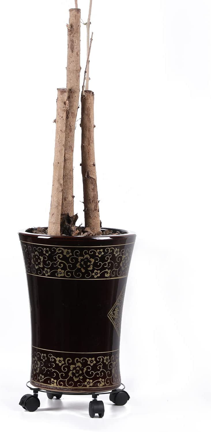 Pflanzentrolleys mit Rädern, robust, rund, 2 Stück, Mover, Caddy, Garten, Plattenbremse
