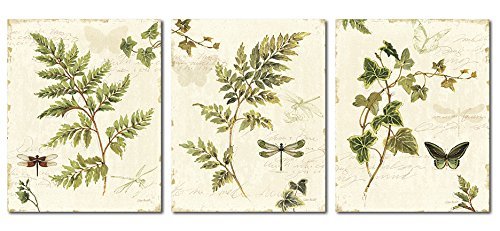 Gango Home Decor Classic Green and Brown Botanical Leaves, Dragonflies and Butterflies Set by Lisa Audit; Three 8x10in Poster Prints