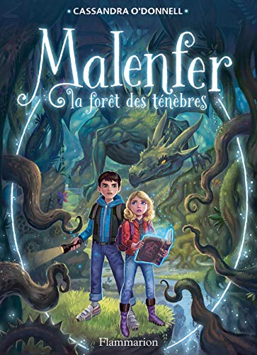 Télécharger Malenfer - Terres de magie (Tome 1) - La forêt des ténèbres Francais PDF