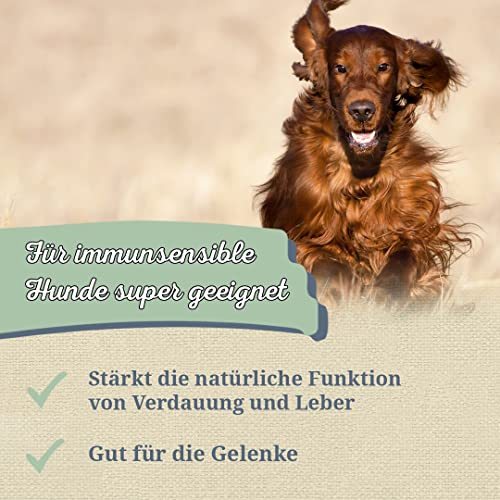 Krauterie Kurkuma Hund, Einzelfuttermittel für Hunde (100 g), Kurkuma Pulver in Spitzenqualität