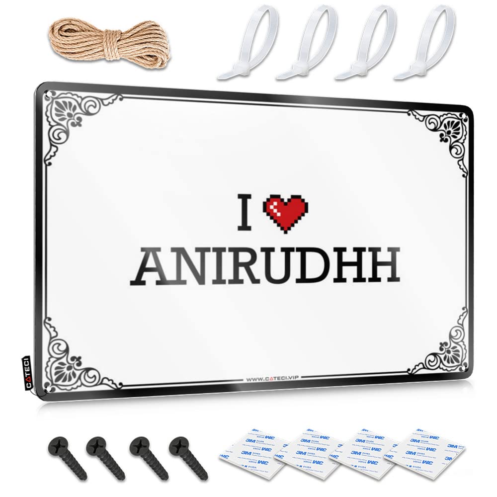 Cadeau de vacances en camping-car personnalisé I Love Anirudhh | Plaque