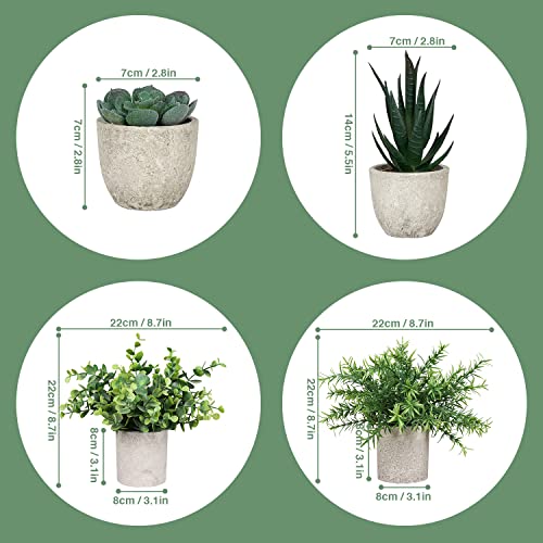 Mejores precios y opiniones de Planta decorativa artificial disponible en línea. 17 Mejores precios y opiniones de Planta decorativa artificial disponible en línea. 13