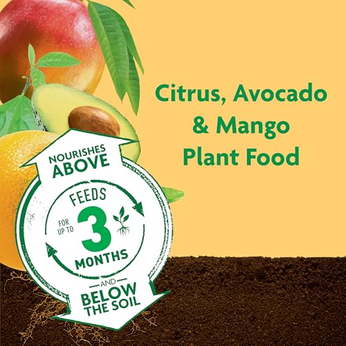 Image of Miracle-Gro Shake 'N Feed Citrus, Avocado, Mango Plant Food - Fertilizer for Container and In-Ground Plants, Citrus, Avocado and Mango Trees, 4.5 lbs. | For Container and In-Ground Plants, Citrus, Avocado and Mango Trees
