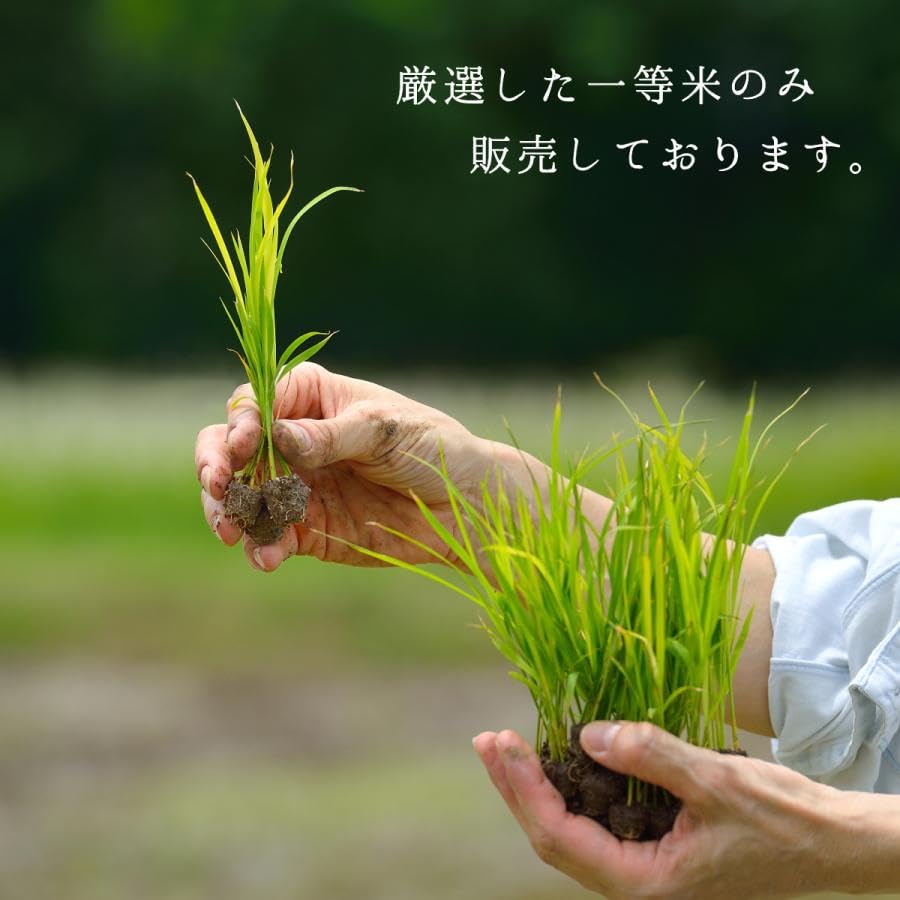 Miniatura 8 de Top en Japón Ranking - Kijima Tsuyahime Yamagata Rice, Arroz especial molido, extremadamente puro y delicioso arroz especial, extremadamente raro -