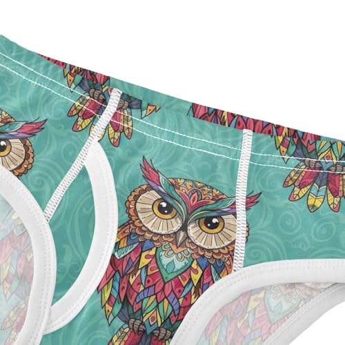 CHIFIGNO Vintage Ethnic Owls Green Boys' Briefs Cotton Boy Underwear Printed Soft Briefs Underwear4