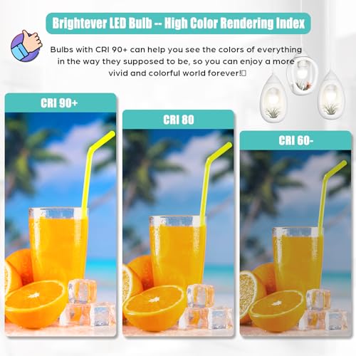 Image of LED Light Bulbs 100W Equivalent 1500 Lumens, A19 13W 4000K Neutral White Non-Dimmable, Super Bright No Flicker Standard E26 Edison Screw Bulbs for Home, Bedroom, Office Lamp, 12-Pack