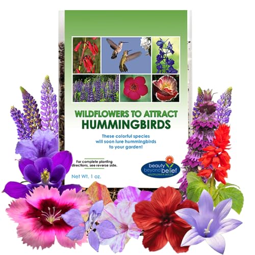 Hummingbird Nectar Wildflower Seeds - 1oz, Open-Pollinated Flower Seed Mix Packet, Non-GMO, No Fillers, Annual, Perennial Wildflower Seeds Year Round Planting - 1 oz