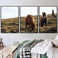 3 Piece Framed Canvas Wall Art Horsing Around Animals Farmhouse/Country Fun Horse Living Room - 16
