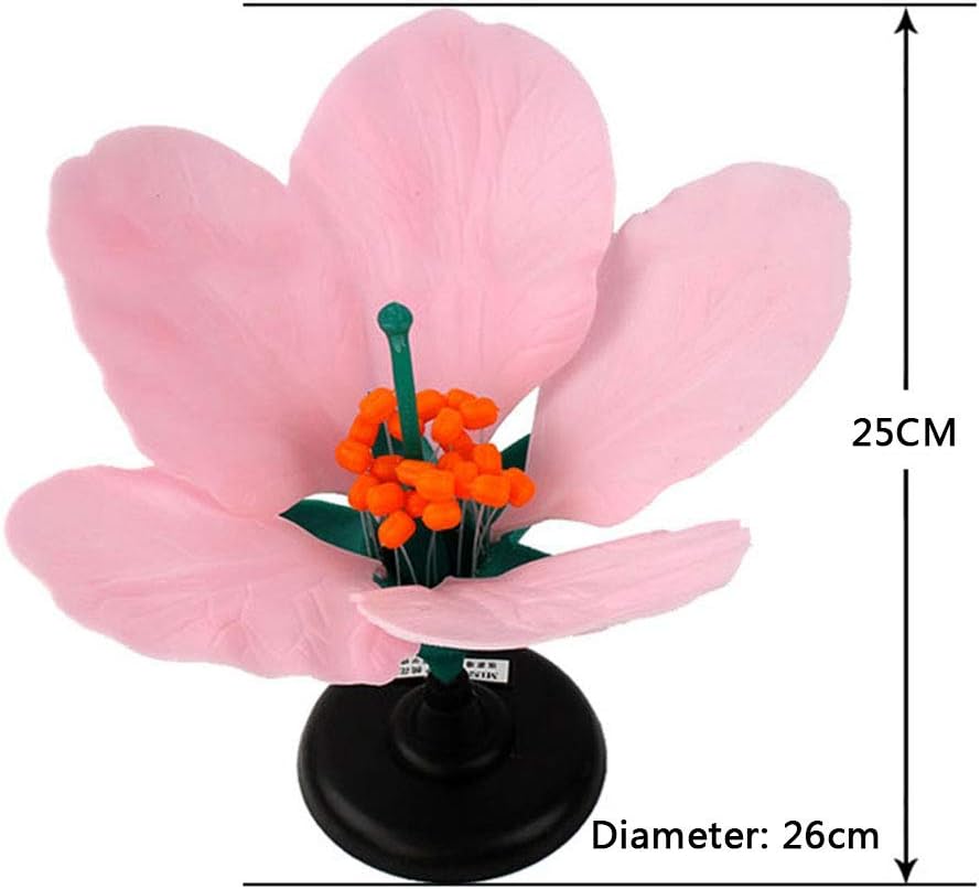 珍品ファルキドンミイロタテハ 蝶標本 ジュルチ産 H <1109z昆虫標本・蝶>