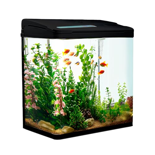 VIALIA Aquarium Komplettset mit LED-Beleuchtung, Pumpe und Filter, 30x20x32 cm, 18 Liter, Schwarz, Glasbecken für...
