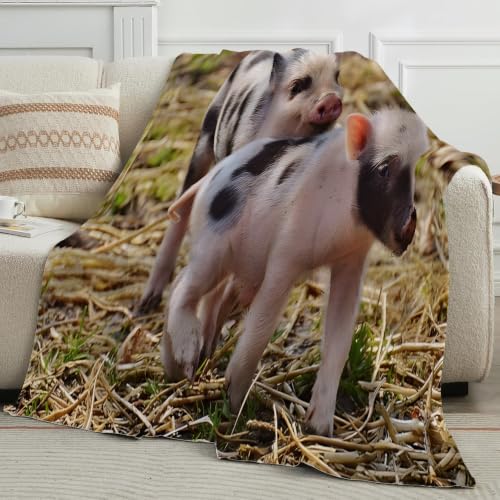 Couverture cochon nain chaude et légère en microfibre douce - 4