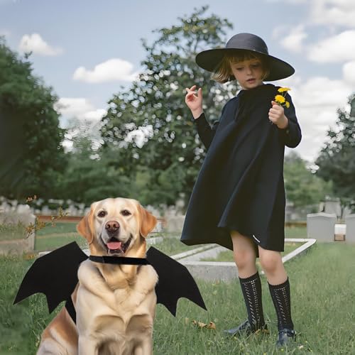 Katzen Halloween Kostüm Hund Fledermaus Flügel, Hundekostüm Inklusive Fledermausflügel und Kürbisglocken, für Haustier Party, Cosplay (L)