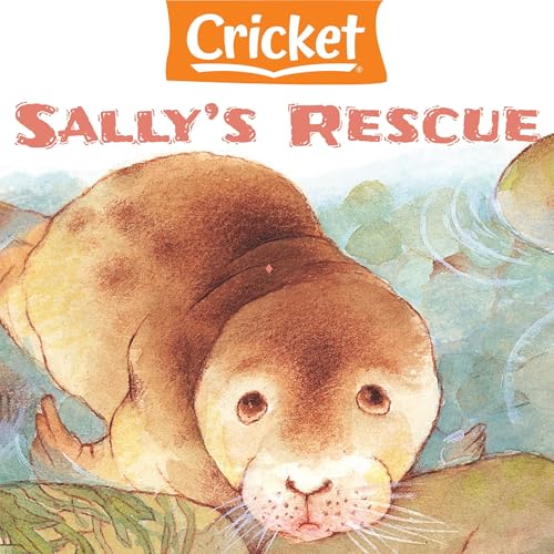 Sally's Rescue by Roderick J. Robinson episode artwork