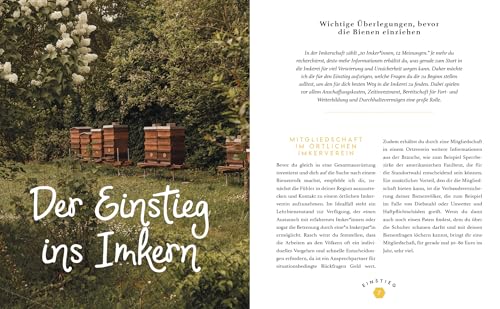 Imkern mit Herz: Das Praxisbuch für Einsteiger zu allen Arbeiten im Jahresverlauf plus Profiwissen zur Königinnenzucht, Honiggewinnung, Vermarktung ... | von Insta-Imkerin @honigmanufaktur.mit.herz