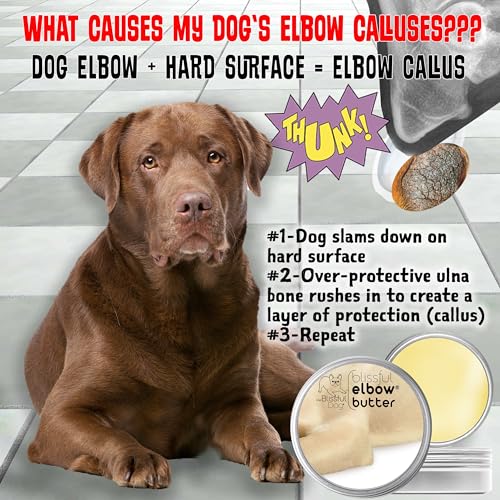 The Blissful Dog Elbow Butter for Dry, Cracked Calluses, Lick-Safe Dog Balm, Soothing Elbow Balm with Moisturizing Shea Butter, Almond, Olive, and Essential Oils, Pet Supplies, 1 oz. Tin - Thumbnail 5