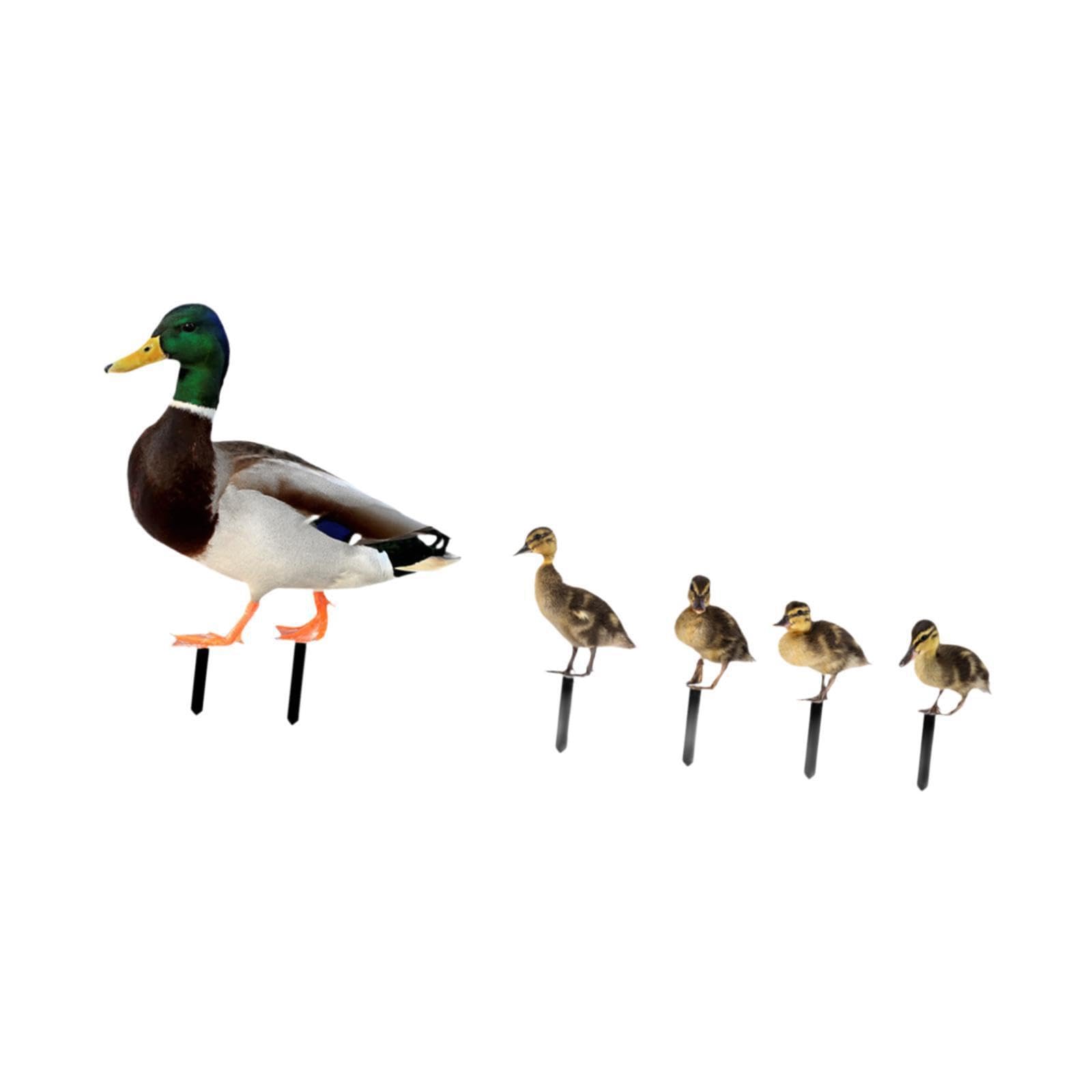 Mophrati For Creative Duck Garden Stakes Animal Statues Stunning Yard Art Ornaments Transforming Patios Courtyards Effectively Yard Decoration Garden Decor