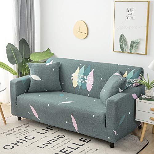 Fundas para sofa elasticas con brazos anticaídas de pelo para perros 2