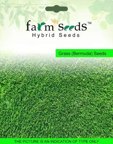Pinkdose Bermuda Grass Seed