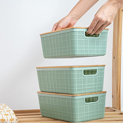 KIT ORGANIZAÇÃO OIKOS VERDE