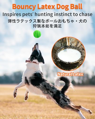 SCHITEC Quietschende Hundebälle, [4 Stück] Latex Hundespielzeug, Interaktive Hundebälle mit Quietscher für Mittelgroße Hunde, 2.8'' Soft Bouncy Fetch Play Bälle Spielzeug