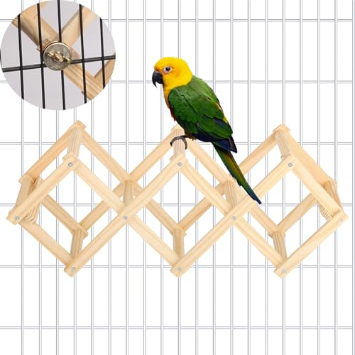 Image of Parrot Multi-Angle Peaches Platform(3 Blocks), Bird Enrichment Toys Activities Parakeet Cage Accessories Wooden Playing Gyms Exercise Sturdy for Small to Regular Birds