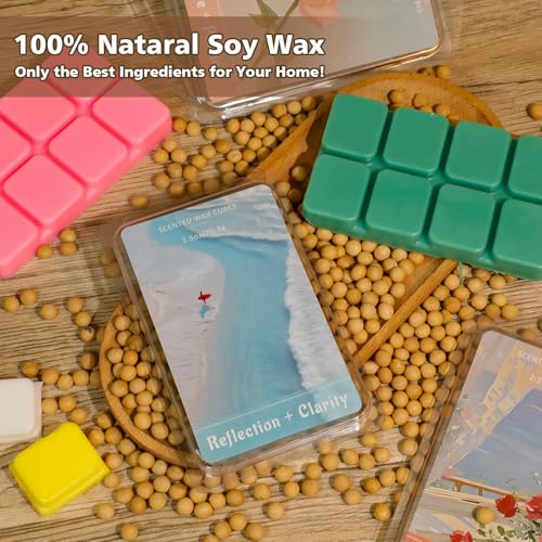 Image of SCENTORINI Wax Melts, Summer Scent Wax Cubes for Healing Calming Relax | Scented Soy Wax Melts for Warmer, Strong Scent Candle Wax, 2.5oz*4 Pack, Home Fragrances and Decoration