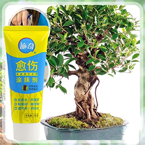 TAOtTAO Tree Pruning Cement Bonsai Cut Paste Tree Pruning Cement Bonsai