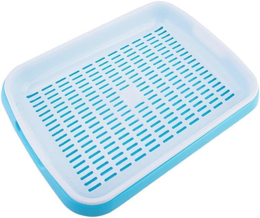 Seed Sprouter Tray, Seed Germination Tray BPA Free Nursery Tray for Seedling Planting Great for for Garden Home Office (Multicolor)-picture-15