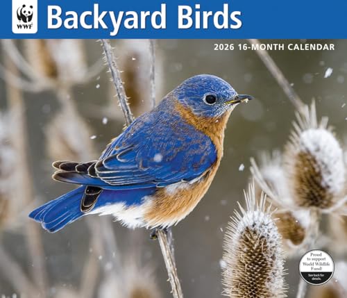 Carousel Worldwide, WWF Backyard Birds 2026 Large Wall Calendar