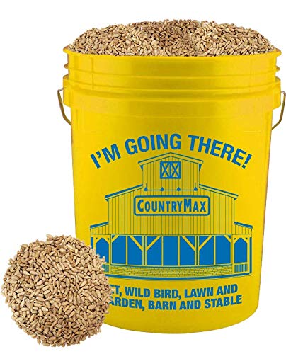 CountryMax Coarse Sunflower Hearts for Birds 20lbs Bucket - Premium No-Shell Bird Seed for Outside Feeders, Bucket of Wild Bird Food