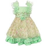 Richie House Girls' Chiffon Dress with Ruffles RH1446-B-2/3 Green