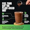 VEDGE Vegan Protein Powder - Plant Protein Powder with Pea, Pumpkin & Sunflower - USDA Organic, Amino Acids, Dairy Free, Gluten Free, Soy Free, Keto, Non GMO, Smooth Texture - Chocolate - 20 Servings