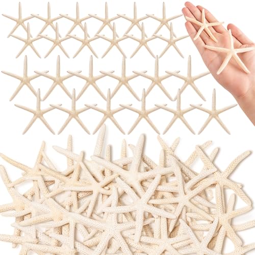 24 Pcs Starfish for Crafts 2 to 4 Star Fish Shells Decorations Natural Starfish Decor Bulk for Beach Theme DIY Crafts Christmas Tree Ornaments