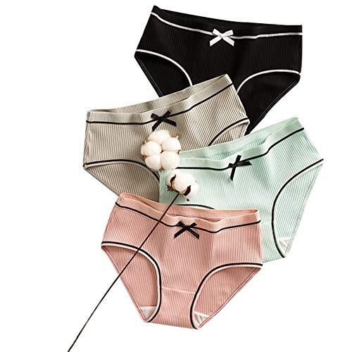 ショーツ レディース 綿 セット レギュラーショーツ 下着 女性 ショーツ 女性下着 女性美形ショーツ 大きいサイズ パンツ 高通気性 伸縮性 抗菌 防臭 4枚セット M-2L