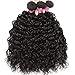 UNice Hair Icenu Series 10A Grade Brazilian Water Wave 3 Bundles with Lace Closure Free Part 100% Unprocessed Virgin Human Hair Weave Extensions (18 20 22+16 closure)
