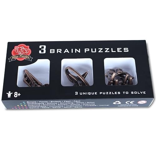 Ameego Profi Metall Gehirn Teaser 3 in 1 IQ Metall Puzzle Set Cover