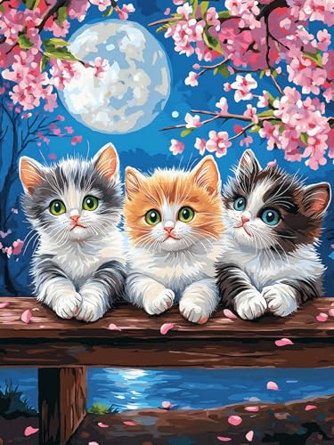 Bimkole 5D ダイヤモンドアート 猫 ダイヤモンドアート キット 絵画 ムーンフラワー クロスステッチ フルドリル クリスタル ラインストーン 刺繍 DIY アート クラフト ホーム ウォールデコ 30x40 cm