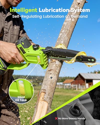 Image of 10 Inch Electric Pole Saws for Tree Trimming, 1000W Brushless Pole Saw and Mini Chainsaw 2 in 1, 2*4000mAh Battery, Lightweight Tree Saw with Extension Pole, 16Ft Max Reach Tree Trimmer Branch Cutter