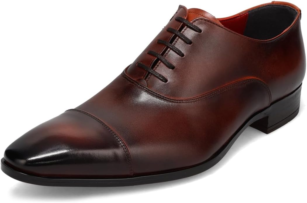 Amazon | [Queen Classico] 【平日10時までのご注文即日出荷