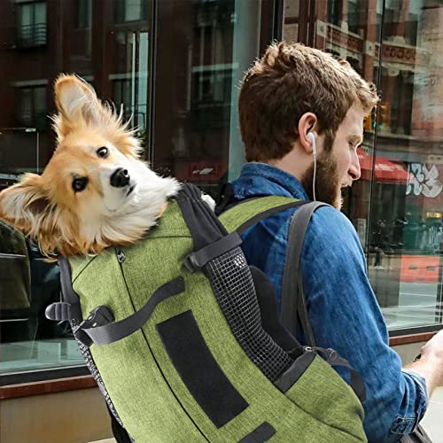 PETCUTE Hundetasche Hundetransporttasche Tragetasche für Hunde Katzen Wanderrucksack Seite Atmungsaktives Netz Rucksack für groß Hunde Katzen bis zu 16,5 kg Gras-Grün
