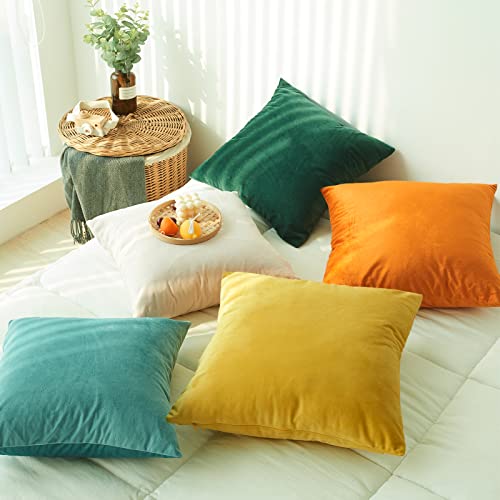 Moloudan Fall Velvet Throw Pillow Covers, Halloween Decorative Square Pillowcase, Soft Solid Cushion Covers For Sofa Couch Living Room Bedroom(Burnt Orange, 20 X 20 Inches, 2-Pack) #TOP5
