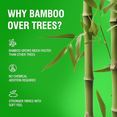 Image of Beco Bamboo Bulk Pack Super Soft 2-Ply Tissue Box 100 Pulls Each, 100% Natural and Ecofriendly Tissue Papers (Pack of 48, 4800 Tissue)