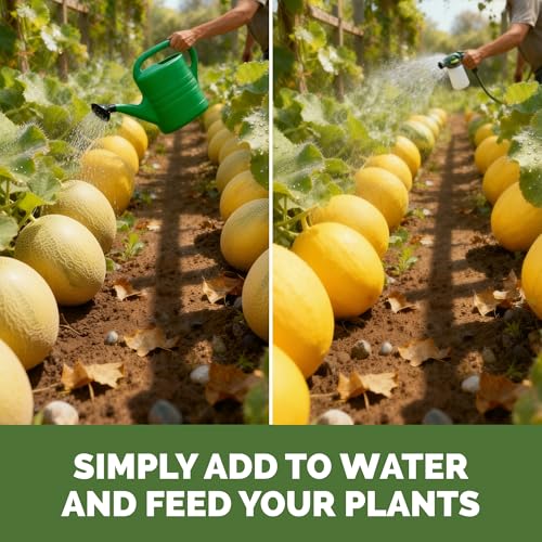 Fertilizante Líquido para Melones 1 Galón miniatura 6