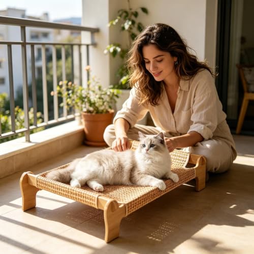 Muebles para gatos con base de madera y plataforma de diseño elevado 3