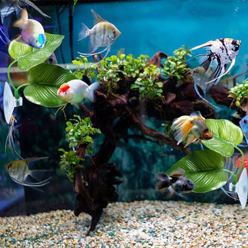 HyzaPhix 6 Stück Aquarium Dekoration, Betta Aquarium Zubehör, Betta Bett Blatt Hängematte, Fisch Futterring, Betta Fisch Tunnel Versteck Ornament für Aquarien (6 Stück)