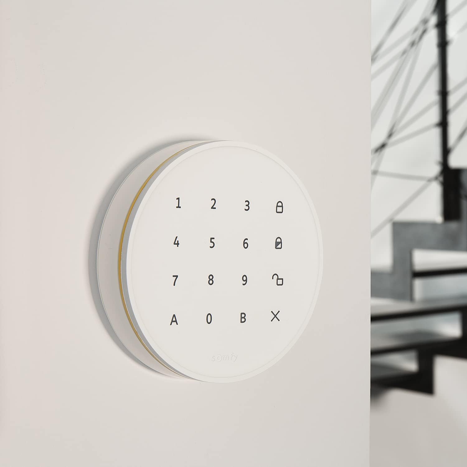 Somfy 1875255 - Home Alarm Advanced Plus - Alarmanlage Haus-Hausautomation - Alarmanlage Wohnung & 3 Schlüsselanhänger - Sicherheitssystem für das Haus - Kompatibel mit Alexa, Google, Tahoma